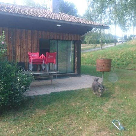 Gite Renove Au Calme 1 A 14 Personnes La Bresse Kültér fotó